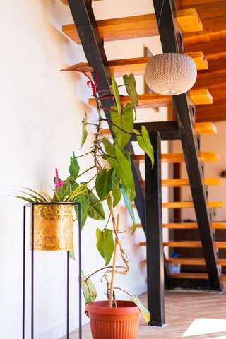 Шале Mare e monti Улцинь Шале с двумя спальнями-24