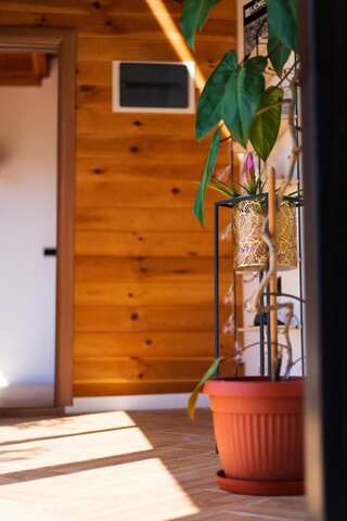 Шале Mare e monti Улцинь Шале с двумя спальнями-83